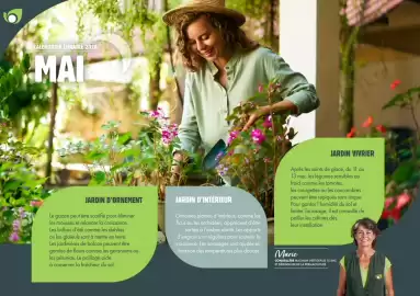 Catalogue Point Vert page 13