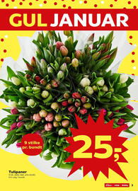 Kvickly tilbudsavis uge 2 Side 3