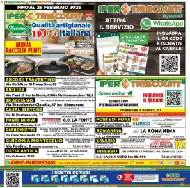 Volantino Iper Triscount Pagina 20