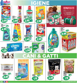 Volantino Il Castoro Supermercati Pagina 19