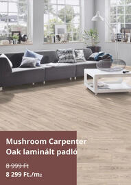 TTL akciós újság Oldal 3