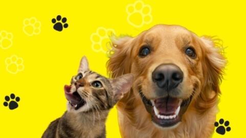 Media Expert gazetka tydzień 2 Strona 370