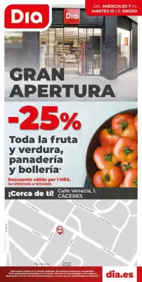 Folleto Dia (válido hasta el 13-01)