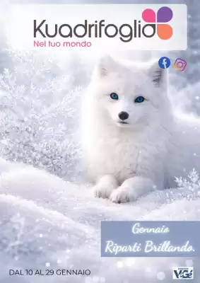 Volantino Kuadrifoglio (valido fino al 29-01)