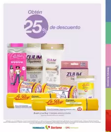 Folleto Soriana Express Página 13