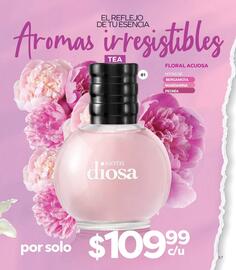 Catálogo Stanhome Página 61