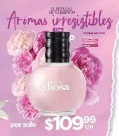 Catálogo Stanhome Página 61