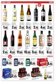 Folleto FROIZ Página 13