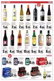 Folleto FROIZ Página 13