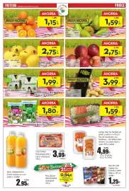 Folleto FROIZ Página 2