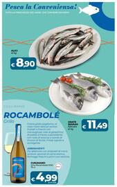 Volantino Ipercoop Radenza Pagina 19