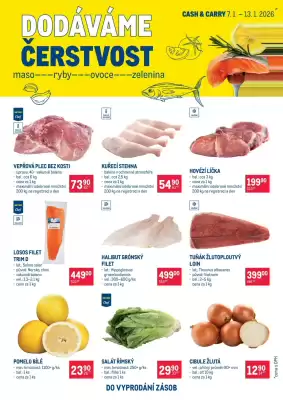 Makro leták (platné do 13-01)