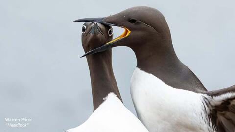 Catálogo Nikon semana 2 Página 2