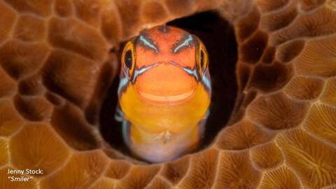 Catálogo Nikon semana 2 Página 3