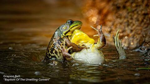 Catálogo Nikon semana 2 Página 4