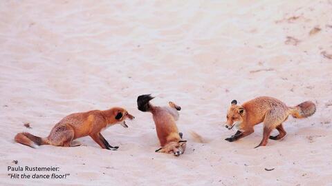 Catálogo Nikon semana 2 Página 5