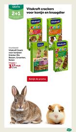 AVEVE folder Pagina 4