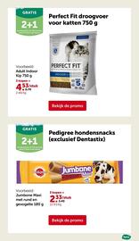 AVEVE folder Pagina 6