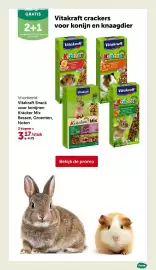 AVEVE folder Pagina 4