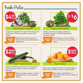 Healthy Planet flyer Page 2