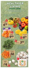 Nesters Market flyer week 2 Page 9