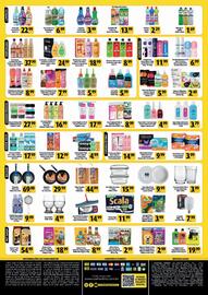 Folheto Coelho Diniz Página 4