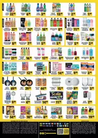 Folheto Coelho Diniz Página 4