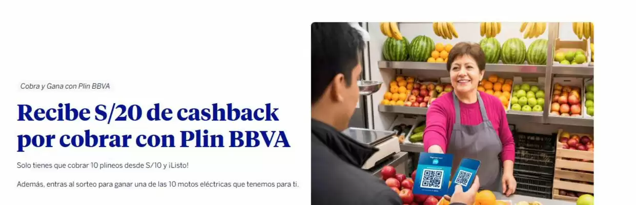 Catálogo BBVA (válido hasta 31-01)