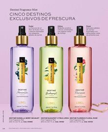 Catálogo L'Bel Página 24