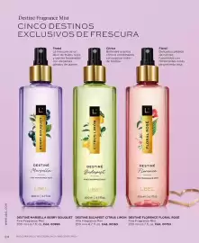 Catálogo L'Bel Página 24