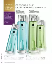 Catálogo L'Bel Página 26