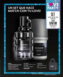 Catálogo Cyzone Página 105