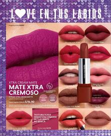 Catálogo Cyzone Página 40