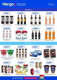 Revista Hergo semana 2 Página 3