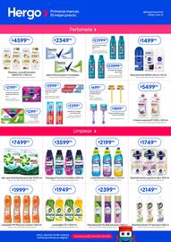 Revista Hergo semana 2 Página 4