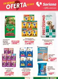 Catálogo Soriana Súper Página 25