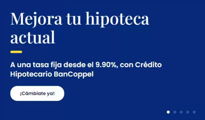 Catálogo BanCoppel (válido hasta 31-01)
