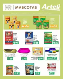 Catálogo Arteli express Página 6
