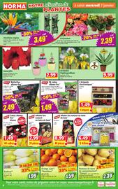 Norma folder week 2 Pagina 4