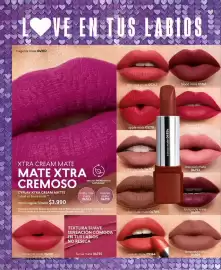 Catálogo Cyzone Página 100