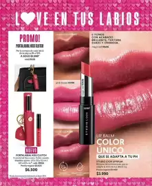 Catálogo Cyzone Página 102