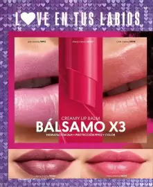 Catálogo Cyzone Página 96