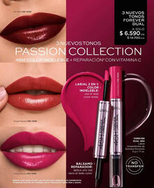 Catálogo L'Bel Página 99