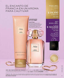 Catálogo L'bel Página 17