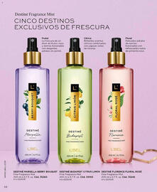 Catálogo L'bel Página 26