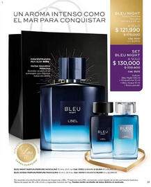 Catálogo L'bel Página 31