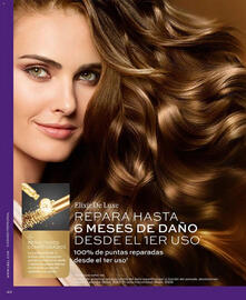 Catálogo L'bel Página 40