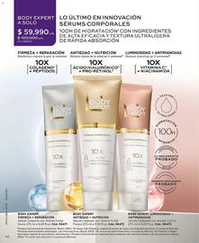 Catálogo L'bel Página 42