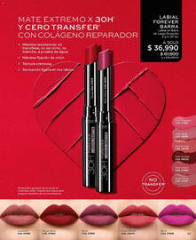 Catálogo L'bel Página 91