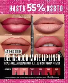 Catálogo Cyzone Página 37